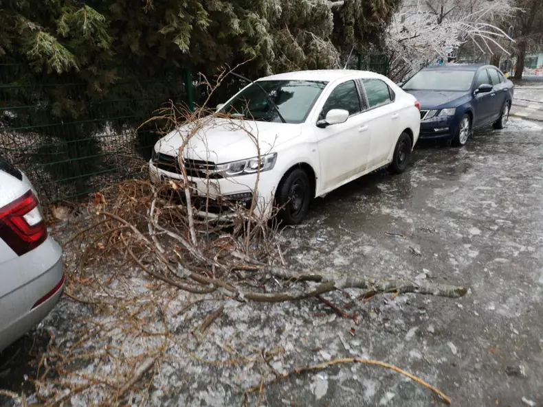 50649990_238717630380014_7744502809864699904_n