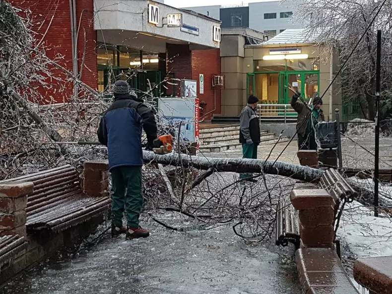 50661320_1056986824473292_3564548712212463616_n