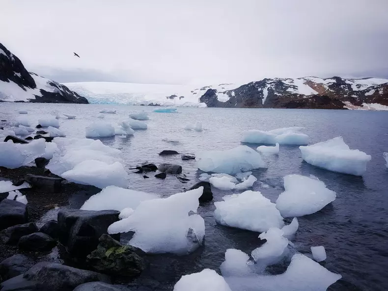 52586531_1981269935275268_783761755481309184_o (1)