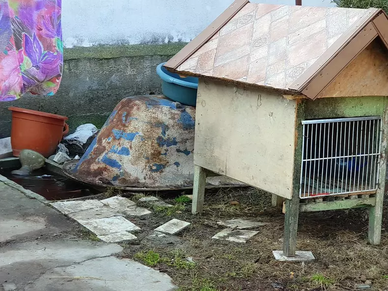 Bătrâni ținuți neîngrijiți și nespălați într-un azil privat din Timiș (4)