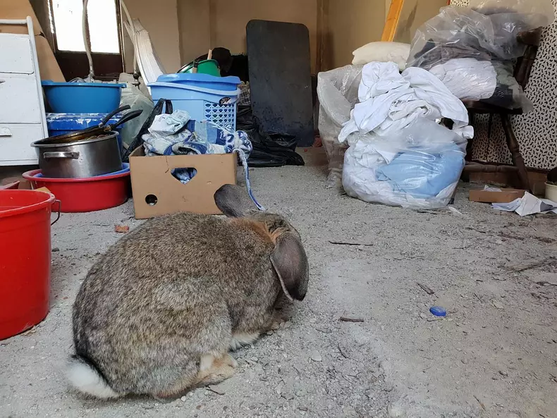 Bătrâni ținuți neîngrijiți și nespălați într-un azil privat din Timiș (8)