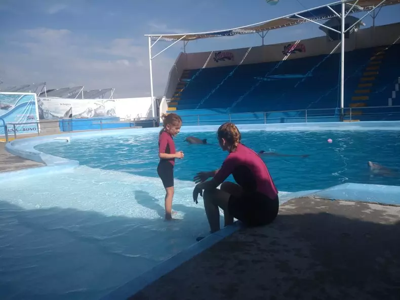 Terapie cu delfini în Mexic pentru o fetiță cu autism din Gorj