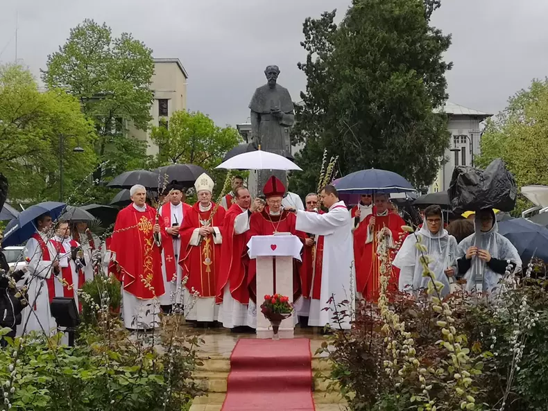 Procesiune Florii catolici8