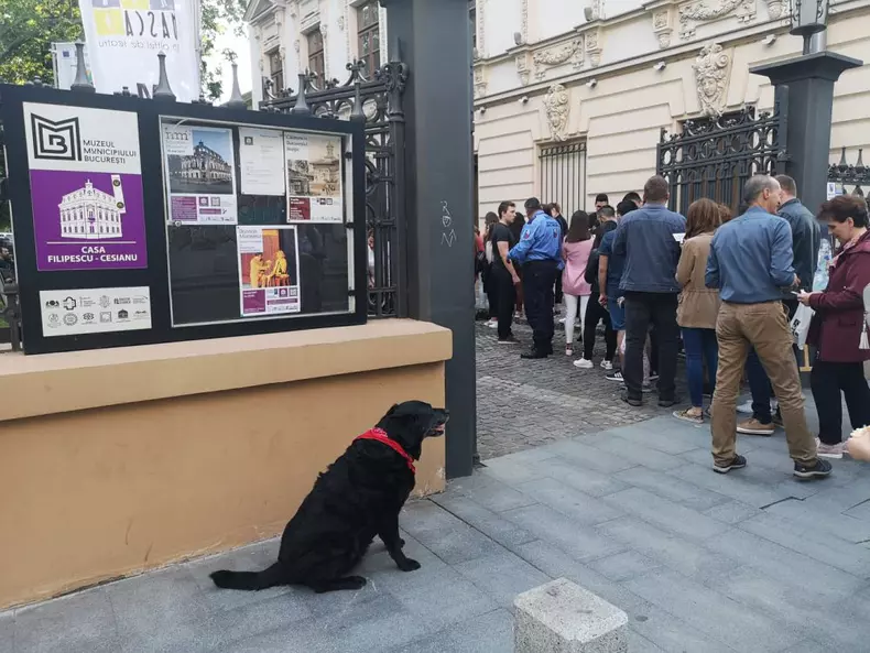 Casa Filipescu Cesianu-Noaptea Muzeelor2