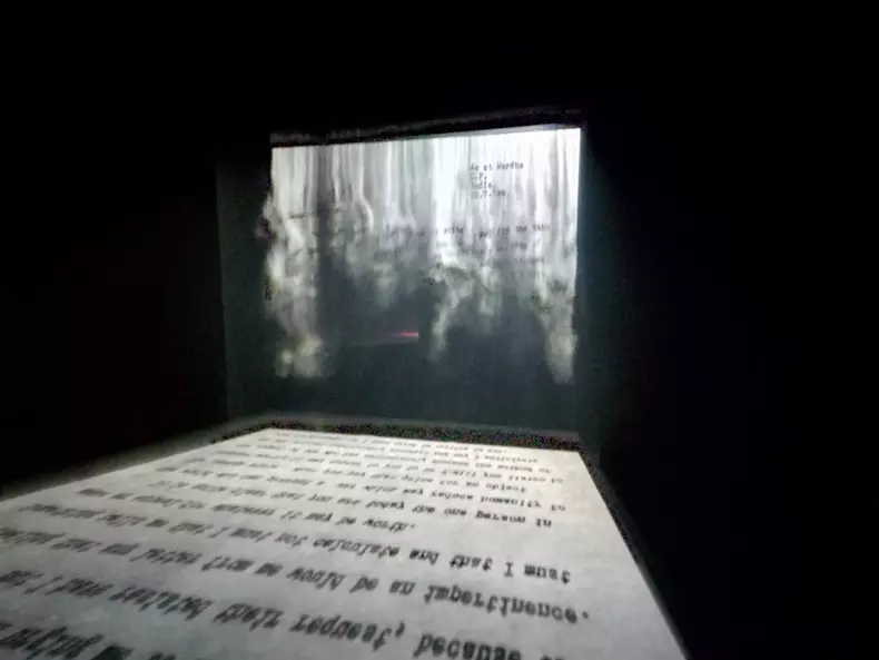 Jitish Kallat, „Covering Letter”, Pavilionul Indiei