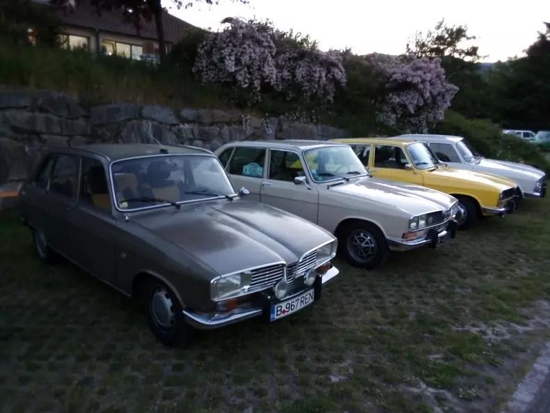 ”Regina” din București, alături de ”suratele” ei.