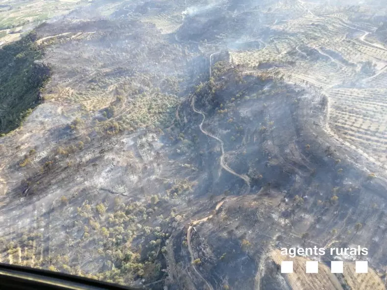 incendiu padure catalonia_agent rurals2