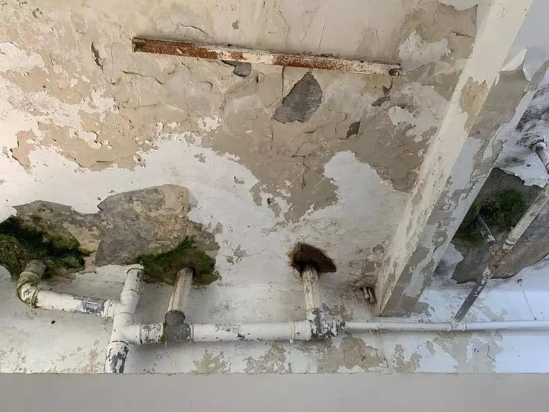 image-2019-09-20-23377475-41-psihiatrie-palazu-mare