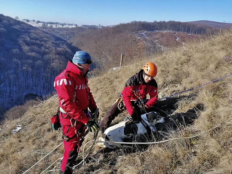 81404242_495883637719594_2117314466273034240_o