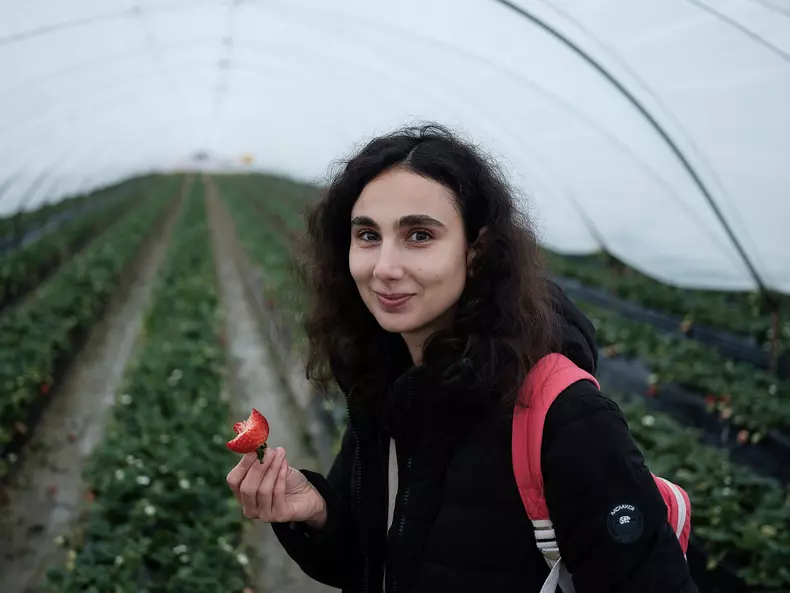 Elena Stancu în câmpul cu căpșuni din Palos de la Frontera, Spania