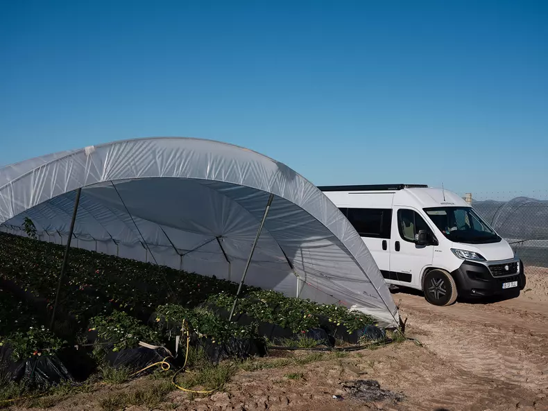 Redacția Teleleu în câmpul cu căpșuni din Palos de la Frontera, Spania