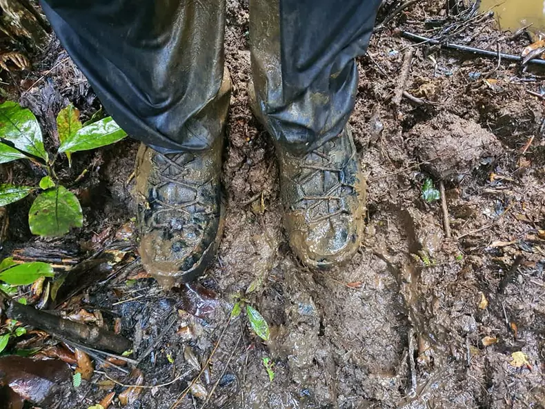 incaltari innoroiate