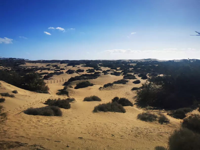 dunele din maspalomas (3)