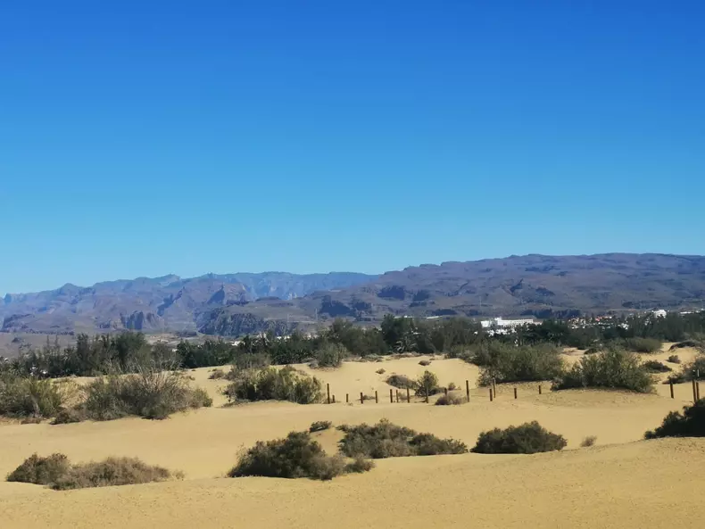 dunele din maspalomas (4)