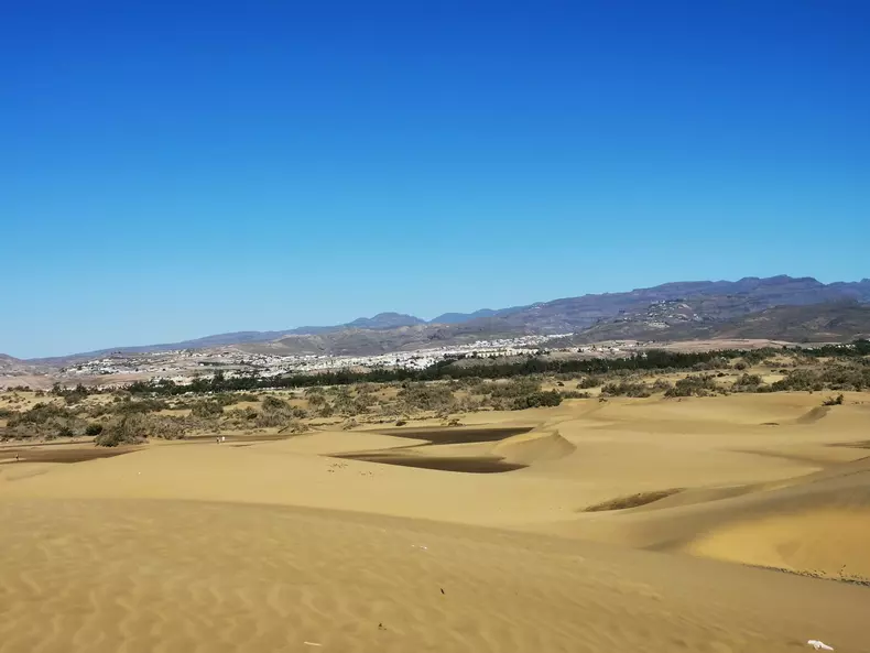 dunele din maspalomas (5)