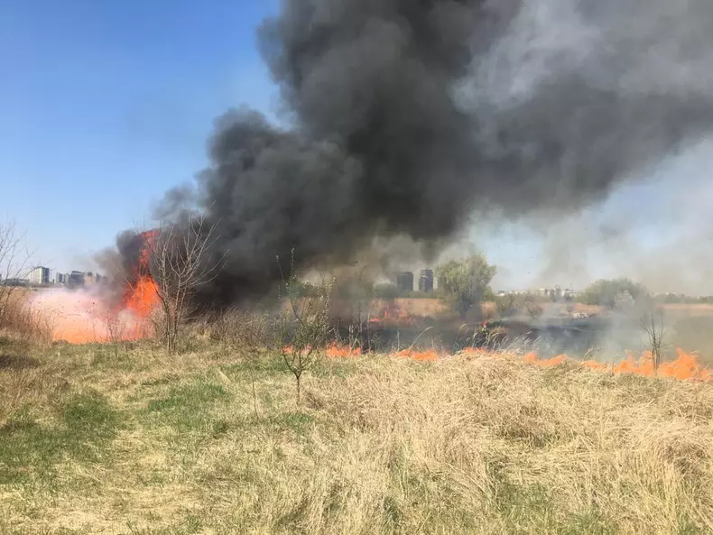 Incendiu în Delta Văcărești. Foto: ISU-B-IF