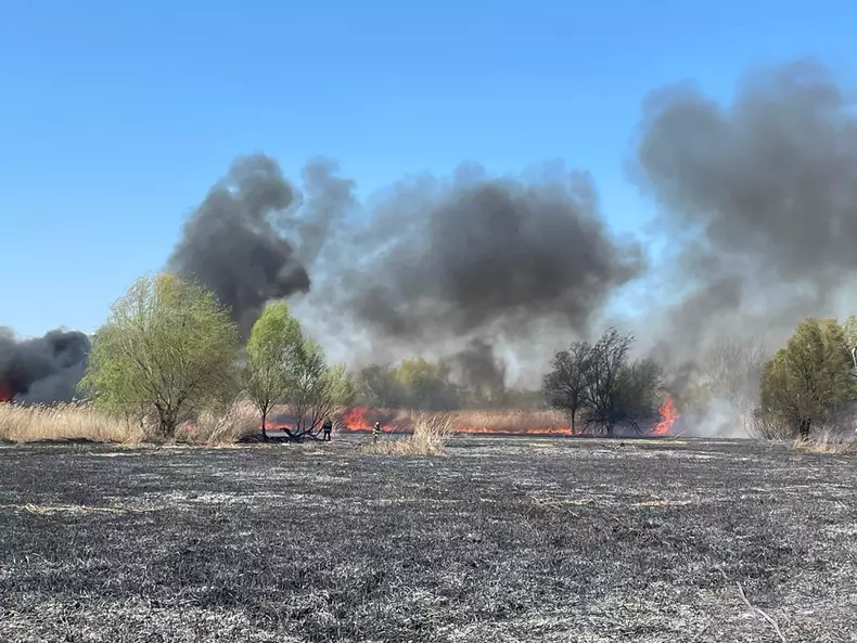 Incendiu în Delta Văcărești. Foto: ISU-B-IF