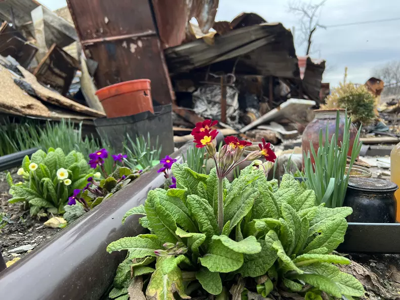 urmele-razboiului-in-bucea-regiunea-kiev-3