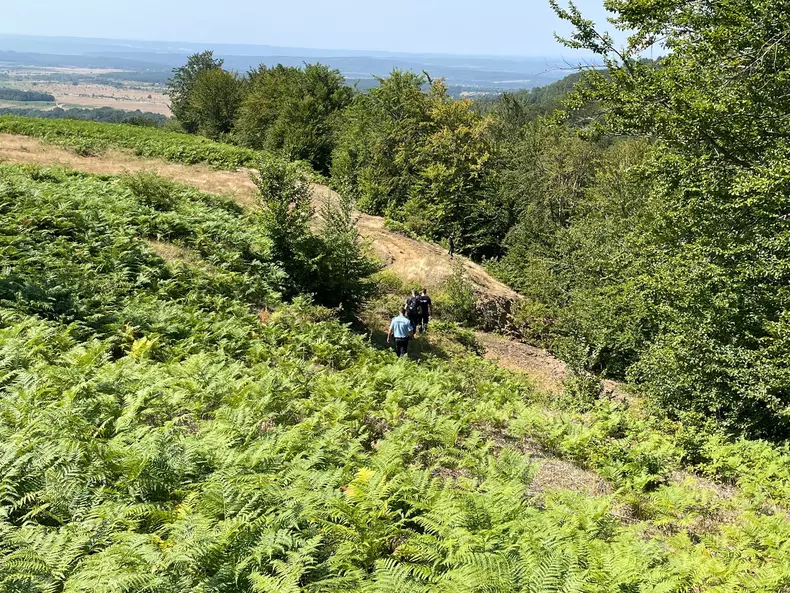 whatsapp-image-2022-07-22-at-11-22-33