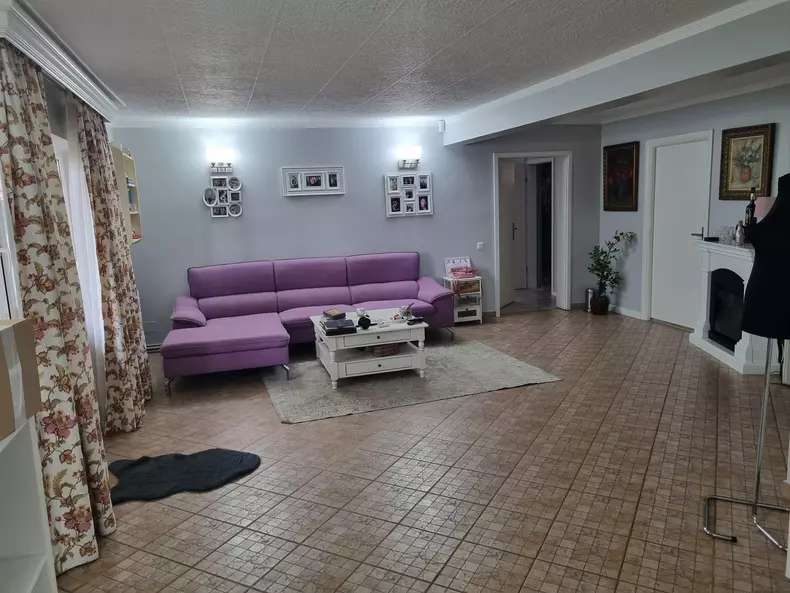 oana-roman-isi-vinde-vila-12