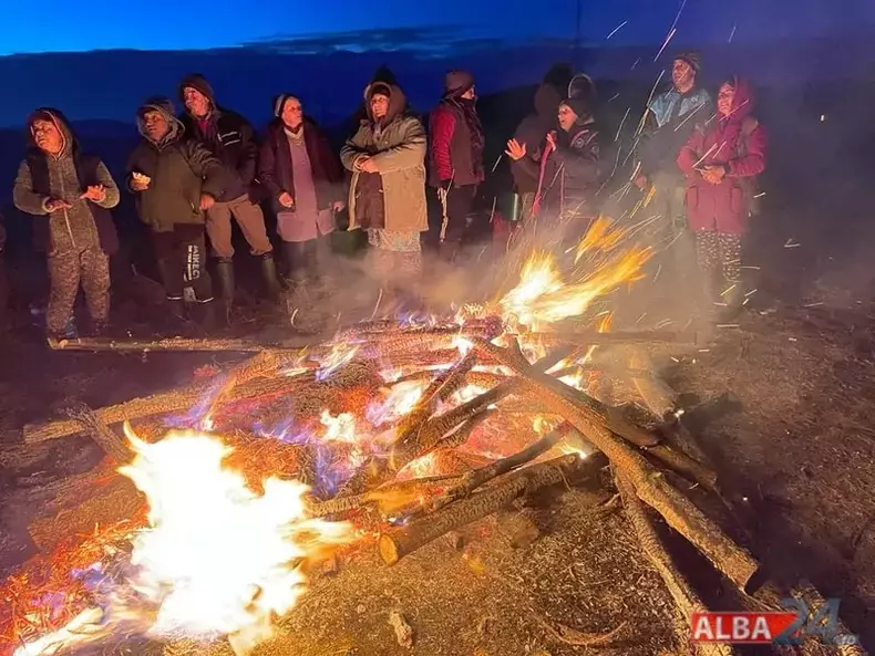 cules struguri vinde gheata (1)