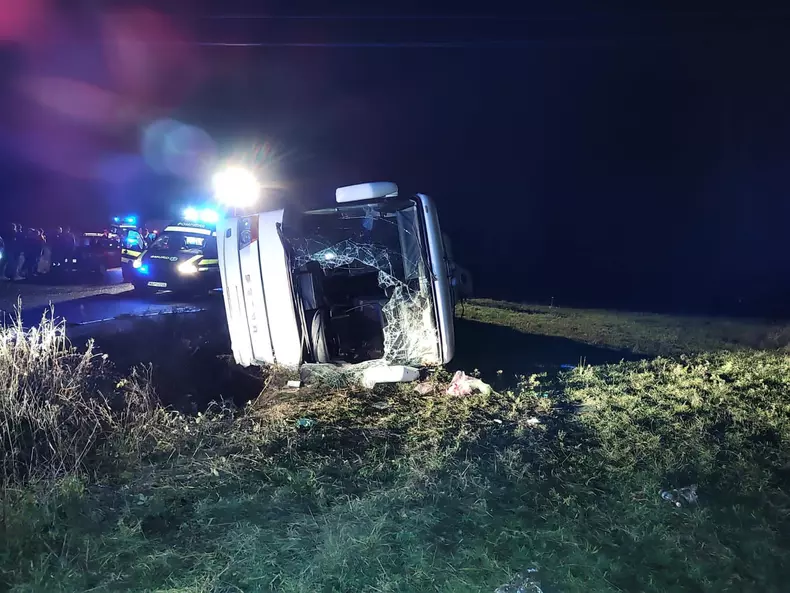 whatsapp-image-2022-12-10-at-20-05-44