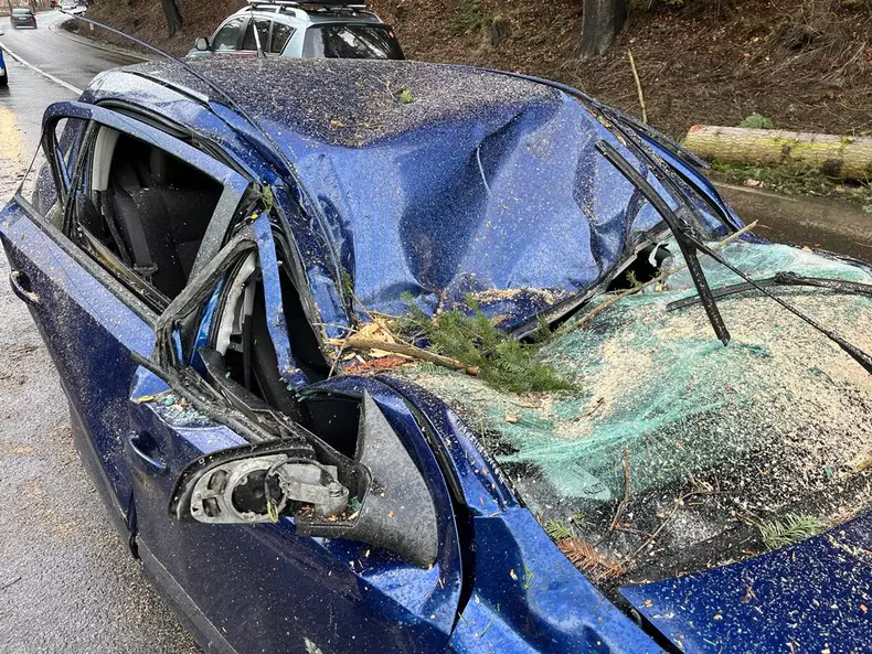 trafic-blocat-valea-prahovei-azuga-copac-cazut-masina-1-0