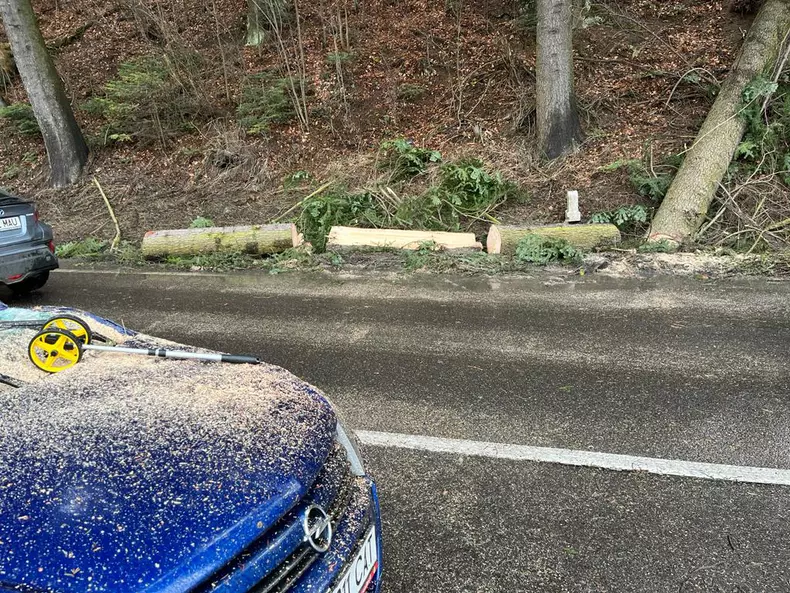 trafic-blocat-valea-prahovei-azuga-copac-cazut-masina-1-1