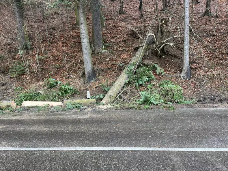trafic-blocat-valea-prahovei-azuga-copac-cazut-masina-1-2