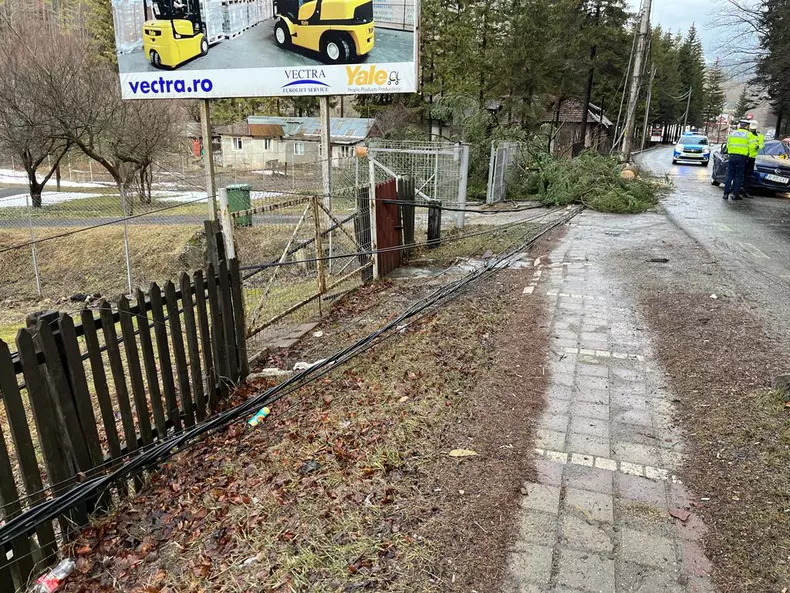 trafic-blocat-valea-prahovei-azuga-copac-cazut-masina-1-6