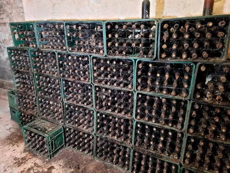 coronation-beer-photo-3