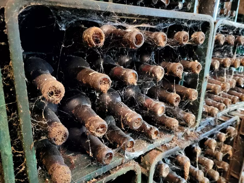 coronation-beer-photo-4