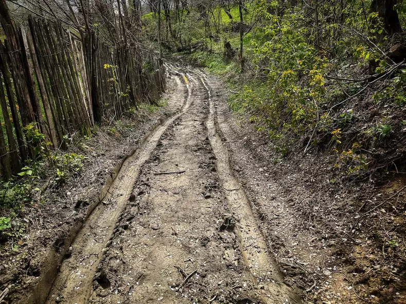 scoala-pietriiceaua-p-113