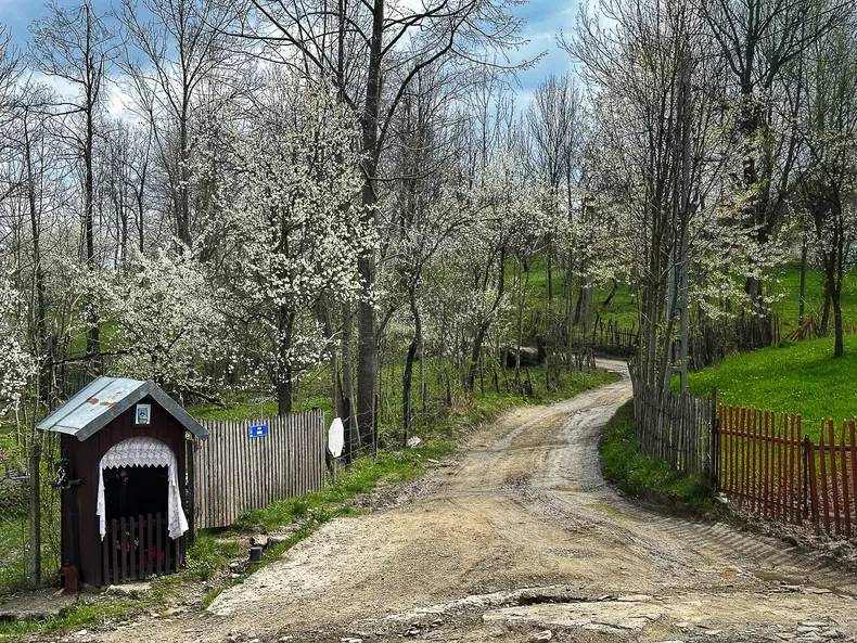 scoala-pietriiceaua-s-127