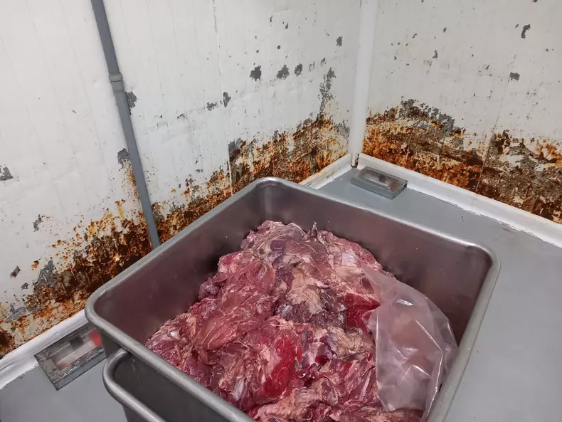 whatsapp-image-2023-05-31-at-18-51-25