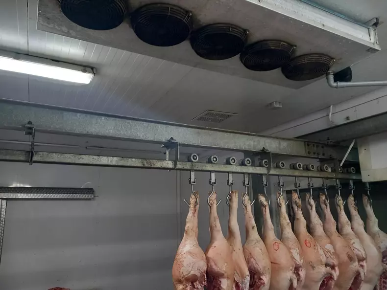 whatsapp-image-2023-05-31-at-18-51-40