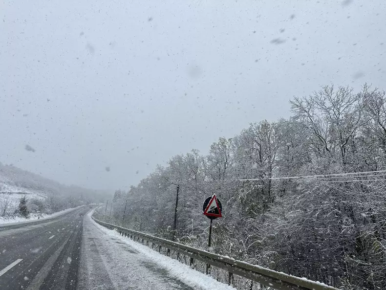 4022993178439323744010246395222509238196963n