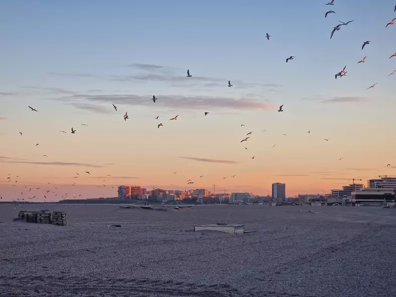 37-plaja-mamaia