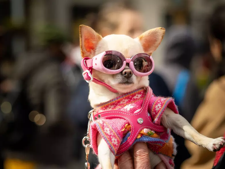 Solar Eclipse in NYC, USA - 8 Apr 2024