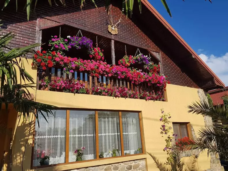 45018281181677322099387197787422154806940695n