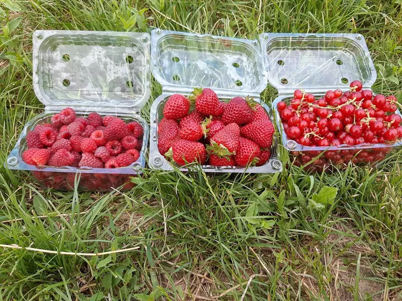 406201707_719832256858414_5752198625408992421_n