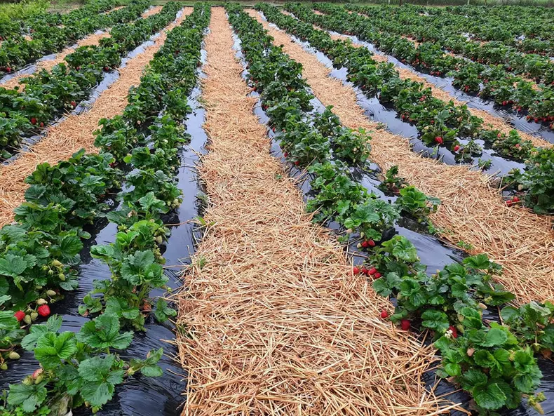 406644719_722263149948658_3741791867138957368_n