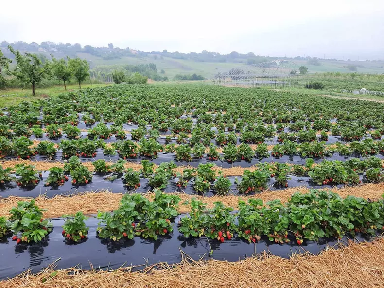 406644834_722263216615318_6229894622990133921_n