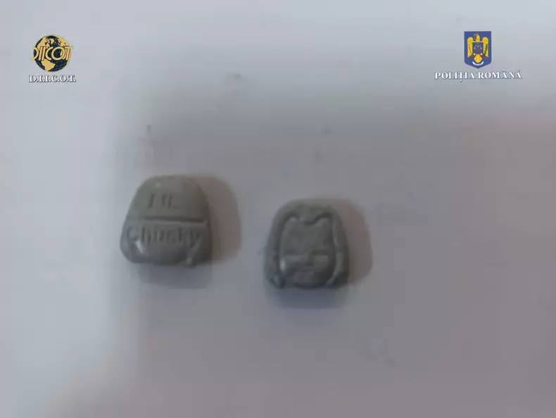 Doi tineri au fost arestati după ce au primit droguri din Olanda, ascunse intr-o punga de hrana pentru câini1