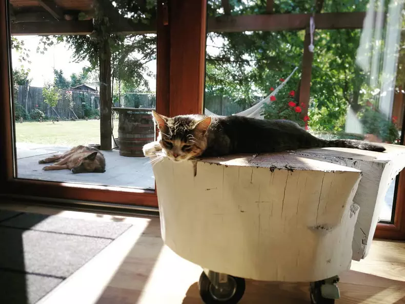 Dan Bordeianu - imagini casă Brănești (7)