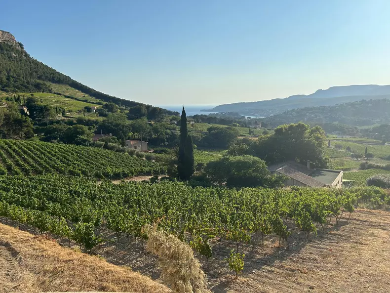 PODGORIE CASSIS