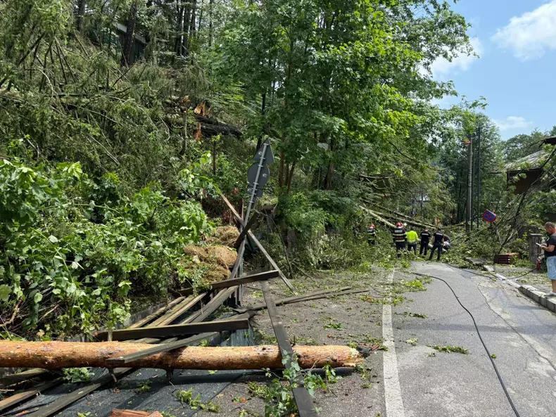 WhatsApp Image 2025-07-09 at 14.52.42 (1)