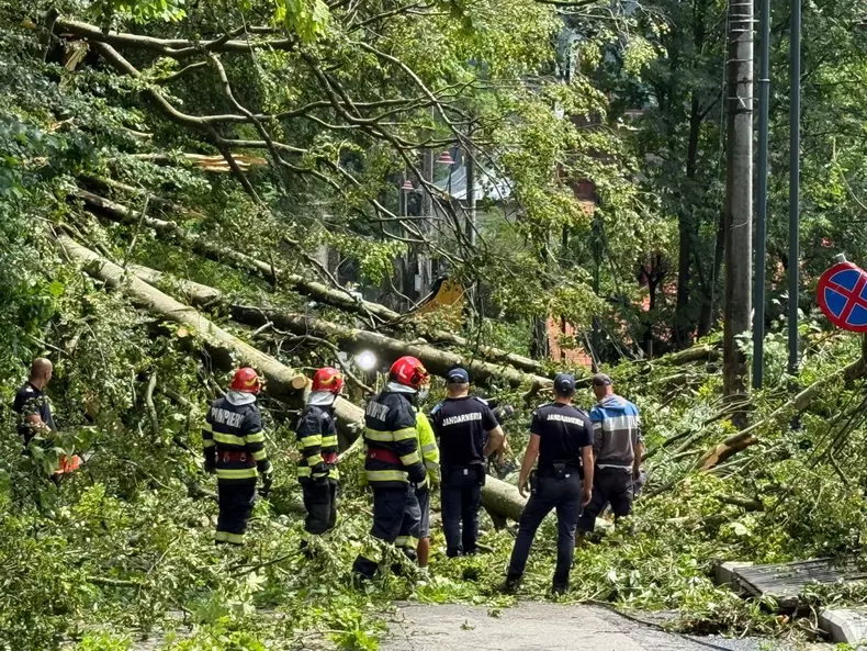 WhatsApp Image 2025-07-09 at 14.52.42