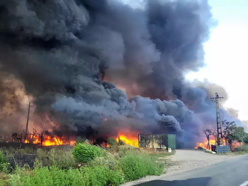 Incendiu vegetatie uscata Giurgiu-6