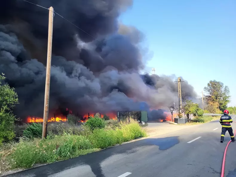 Incendiu vegetatie uscata Giurgiu